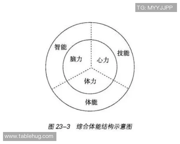 上海足球队耐力表现数据分析揭示运动员体能训练与比赛成绩的关系